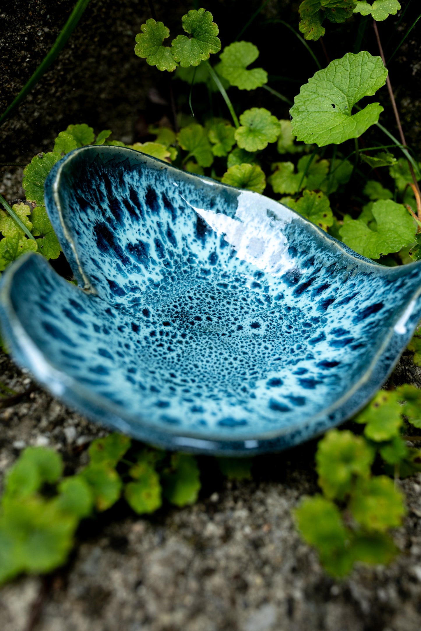 Ocean Bloom Leaf Dish • 5 x 4"
