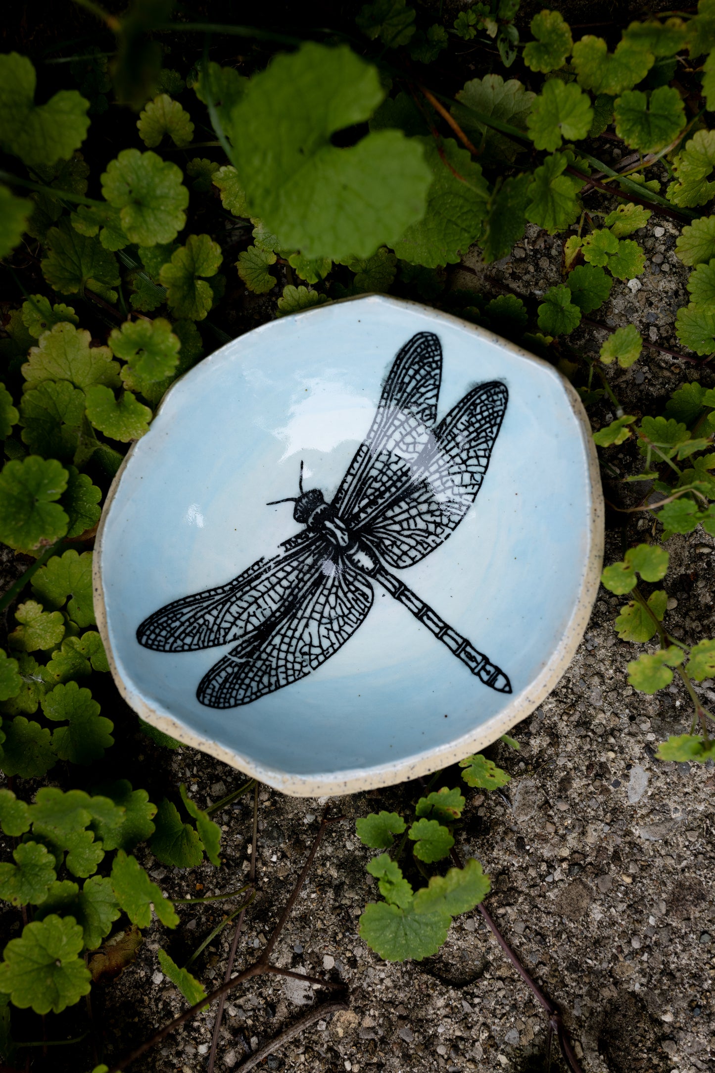 Dragonfly Trinket Dish • 4" x 4"