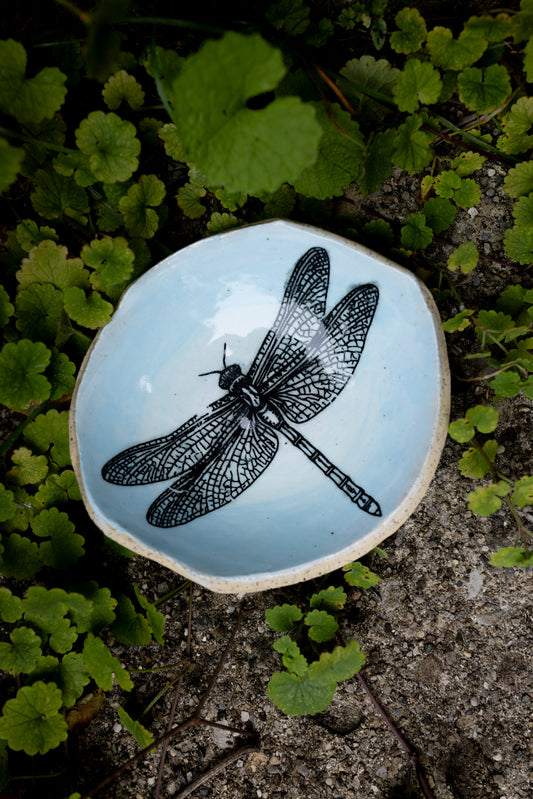 Dragonfly Trinket Dish • 4" x 4"