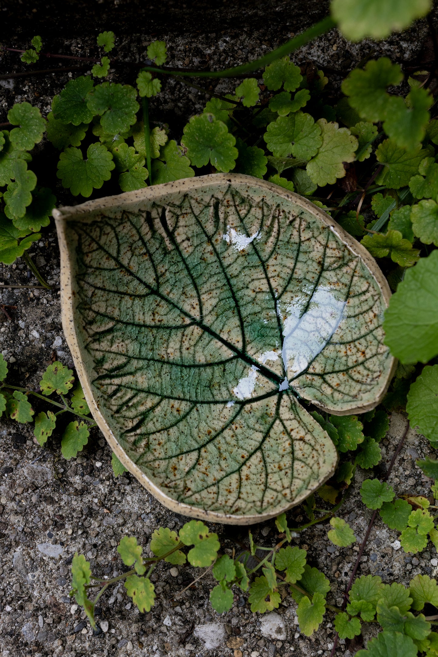 Woodland Leaf Trinket Dish • 4 x 4.5"