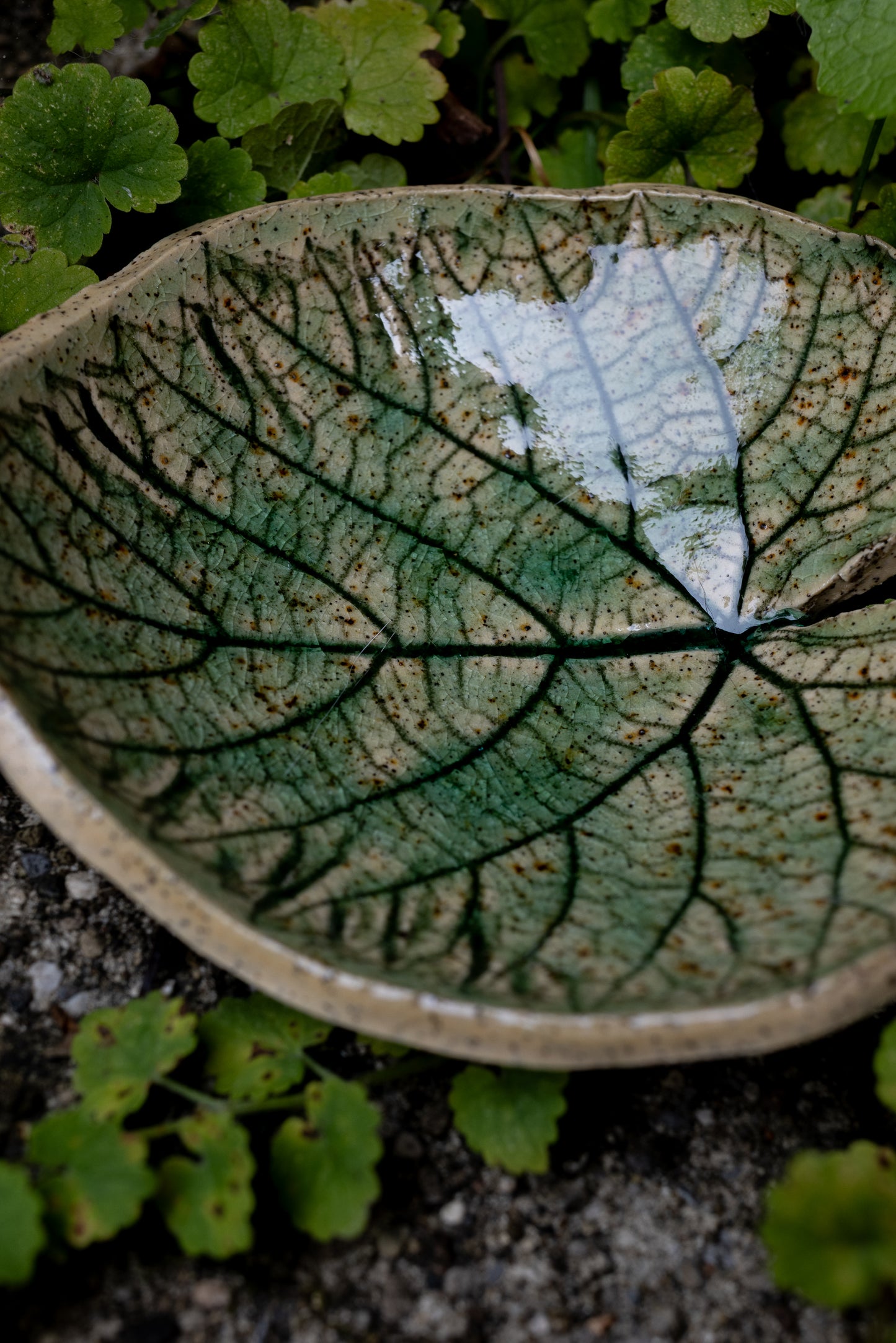 Woodland Leaf Trinket Dish • 4 x 4.5"