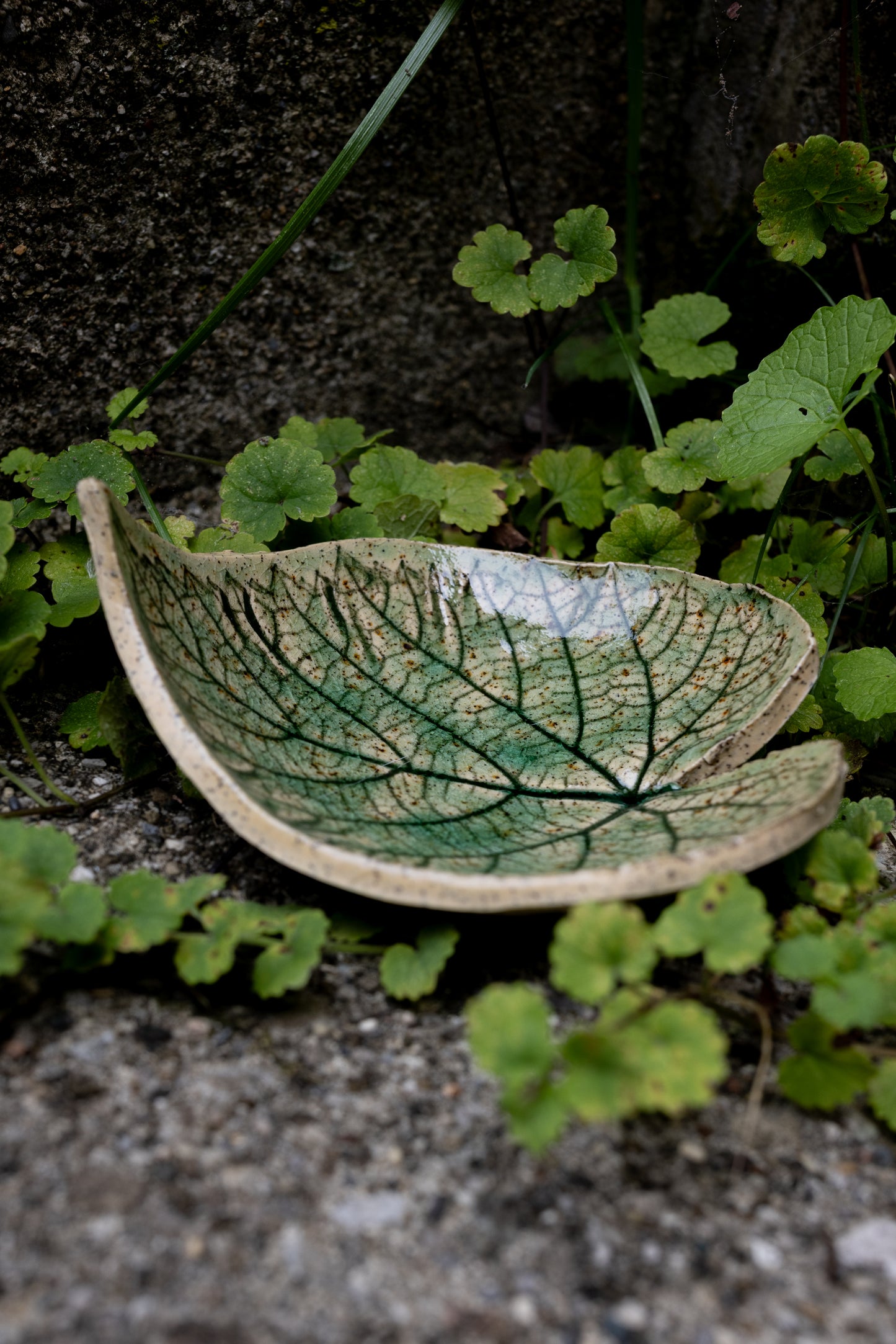 Woodland Leaf Trinket Dish • 4 x 4.5"