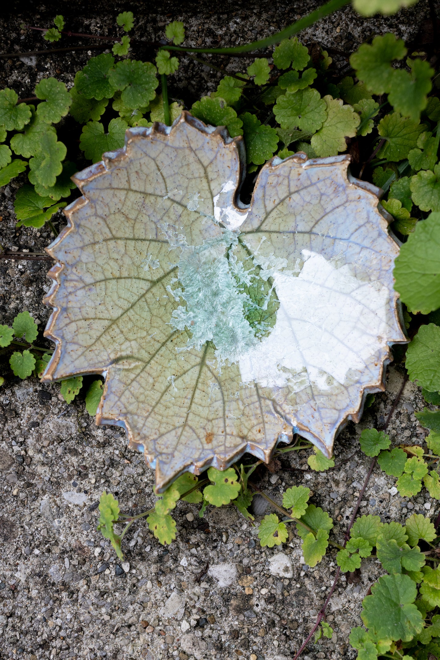 Crystal Leaf Trinket Dish • 5 x 5"