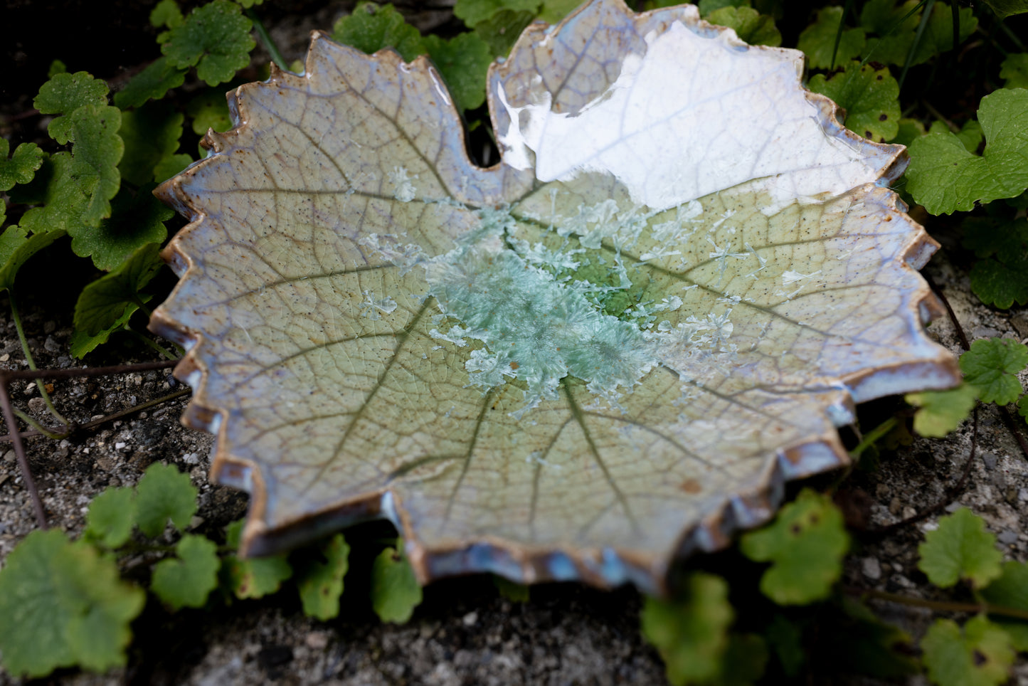 Crystal Leaf Trinket Dish • 5 x 5"