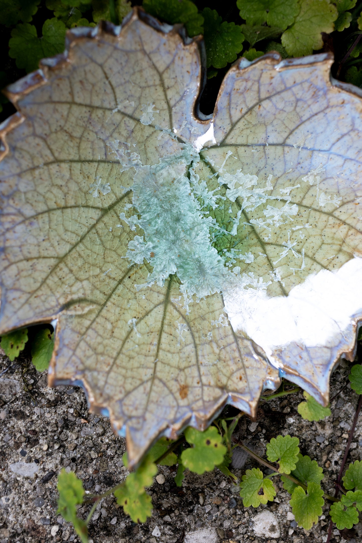 Crystal Leaf Trinket Dish • 5 x 5"