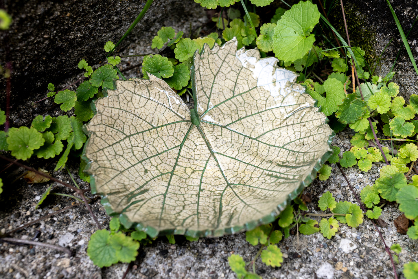Woodland Leaf Trinket Dish • 6 x 5"