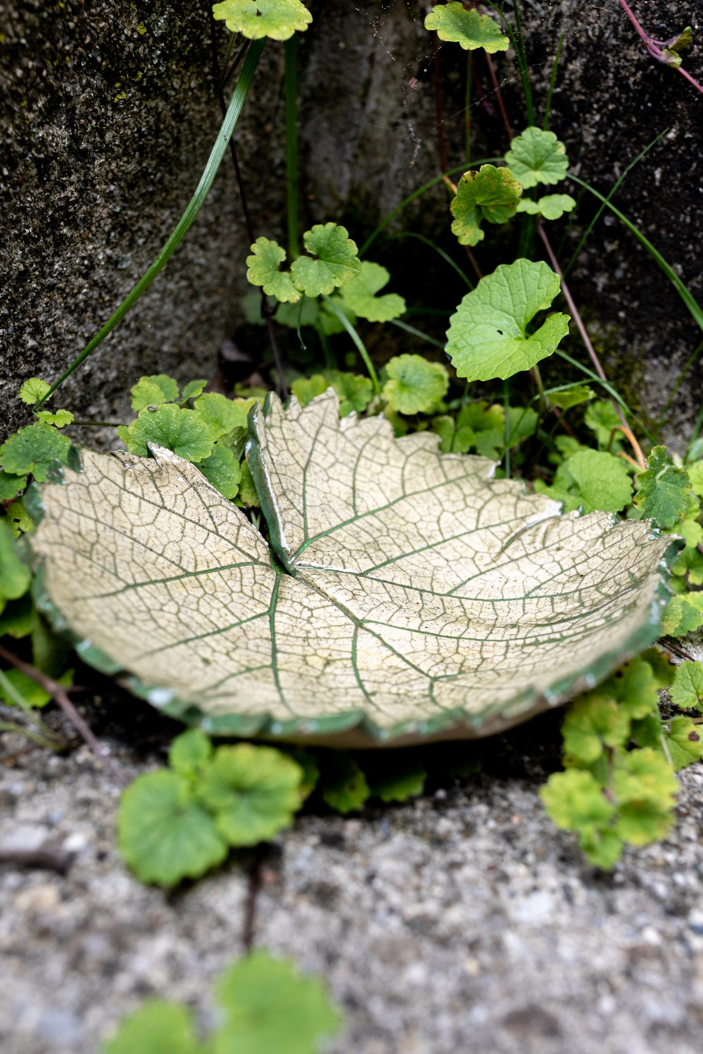 Woodland Leaf Trinket Dish • 6 x 5"
