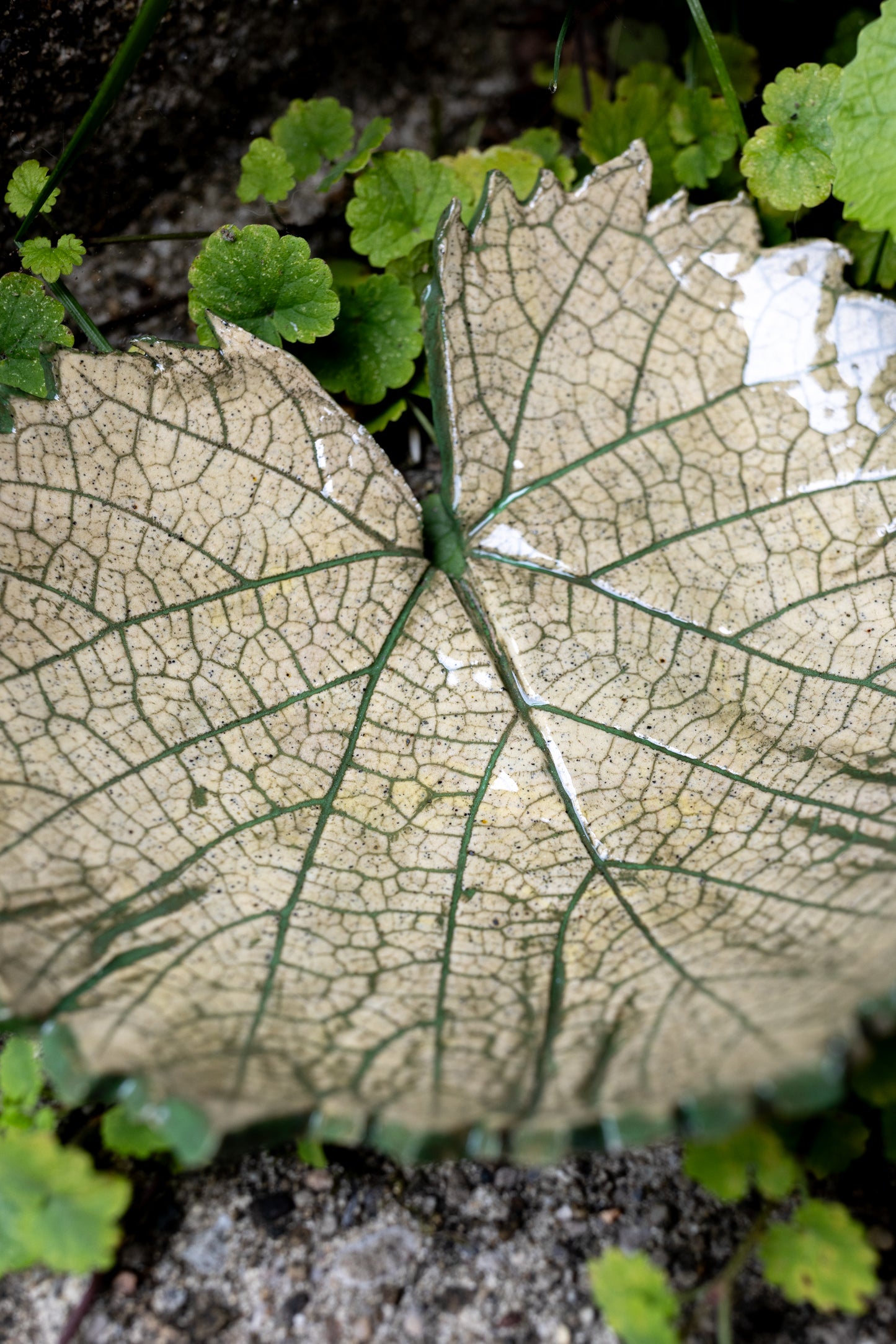 Woodland Leaf Trinket Dish • 6 x 5"