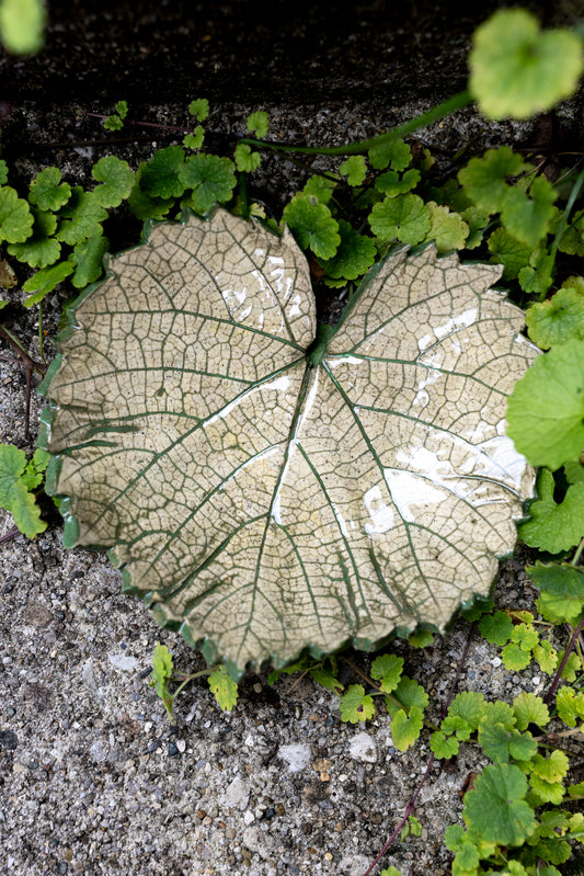 Woodland Leaf Trinket Dish • 6 x 5"