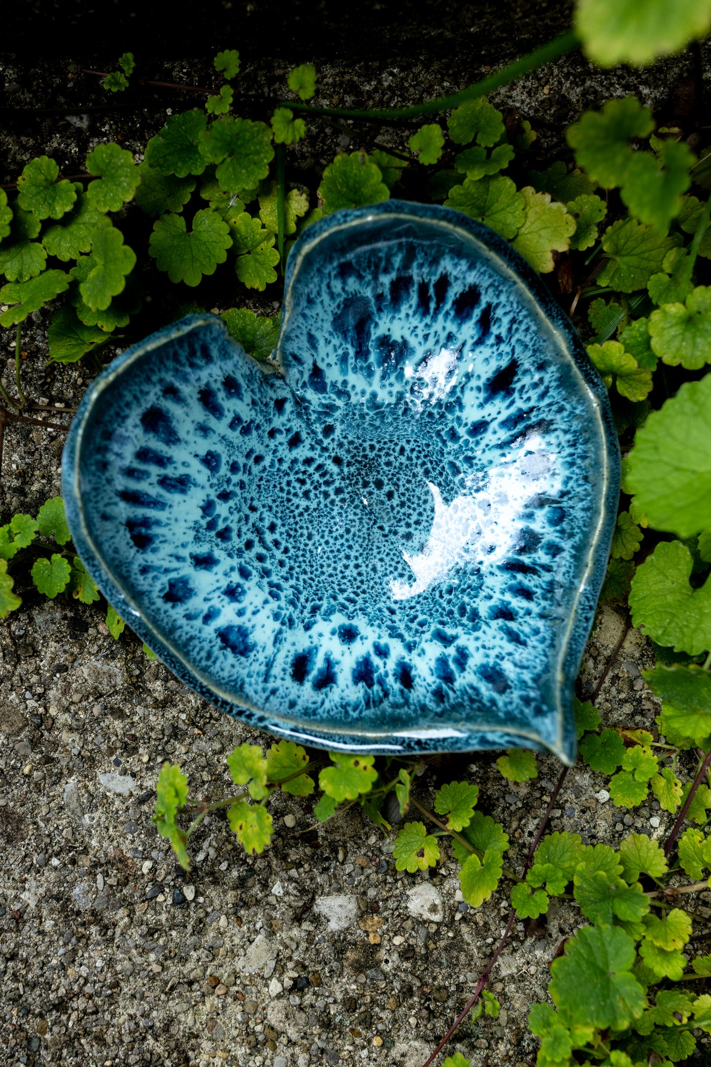 Ocean Bloom Leaf Dish • 5 x 4"