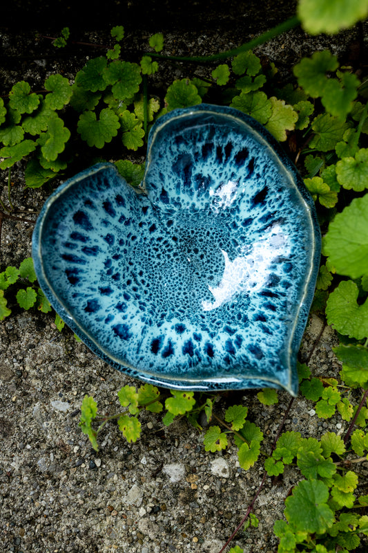Ocean Bloom Leaf Dish • 5 x 4"